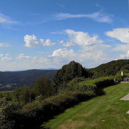 Ferienland Sonnenwald Fewo 46 Und Studio 50 In Schoefweg Bayerischer Wald 外观 照片