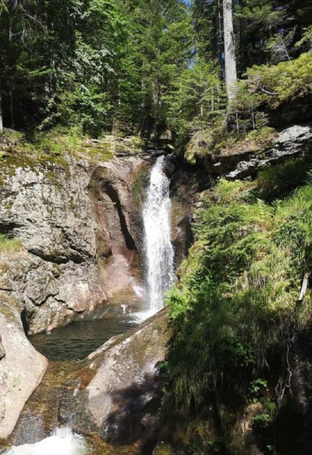 Ferienland Sonnenwald Fewo 46 Und Studio 50 In Schoefweg Bayerischer Wald 外观 照片