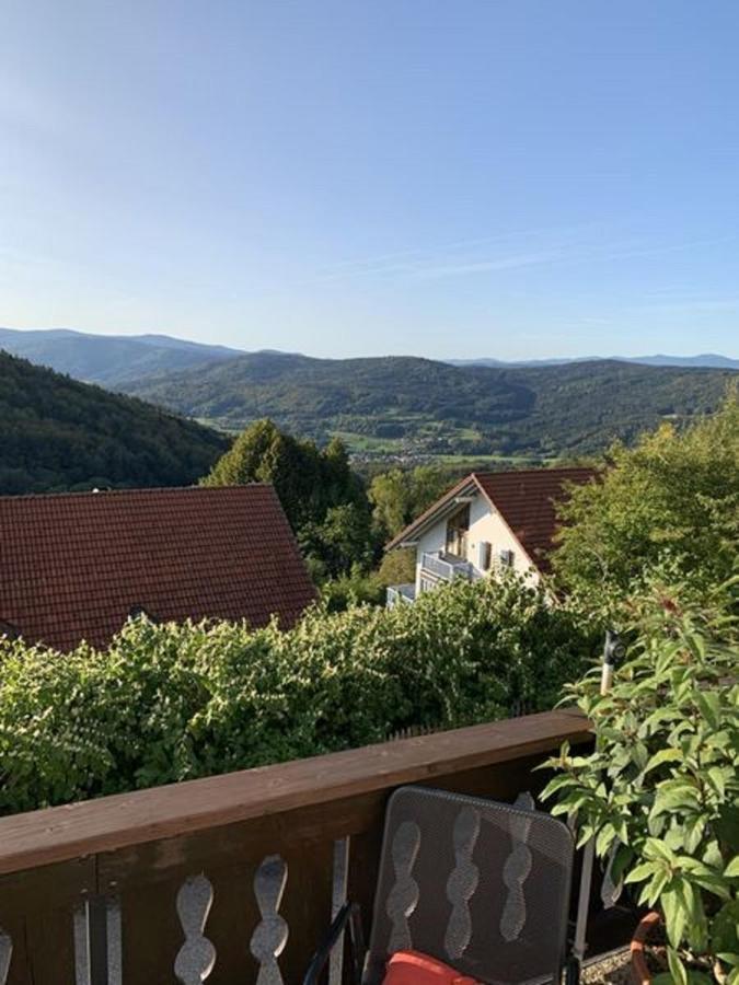 Ferienland Sonnenwald Fewo 46 Und Studio 50 In Schoefweg Bayerischer Wald 外观 照片
