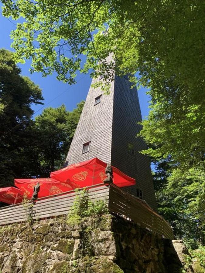 Ferienland Sonnenwald Fewo 46 Und Studio 50 In Schoefweg Bayerischer Wald 外观 照片