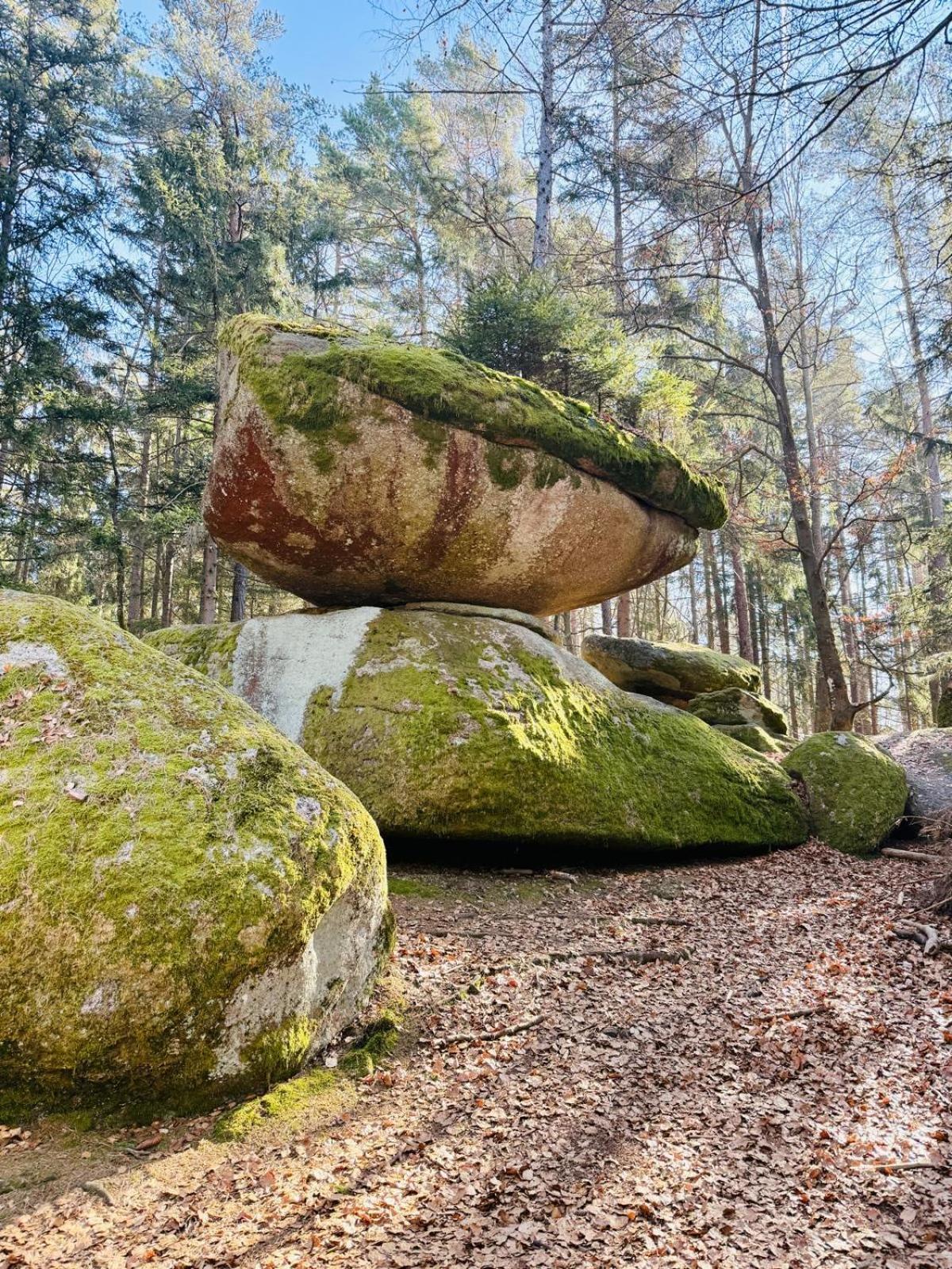 Ferienland Sonnenwald Fewo 46 Und Studio 50 In Schoefweg Bayerischer Wald 外观 照片