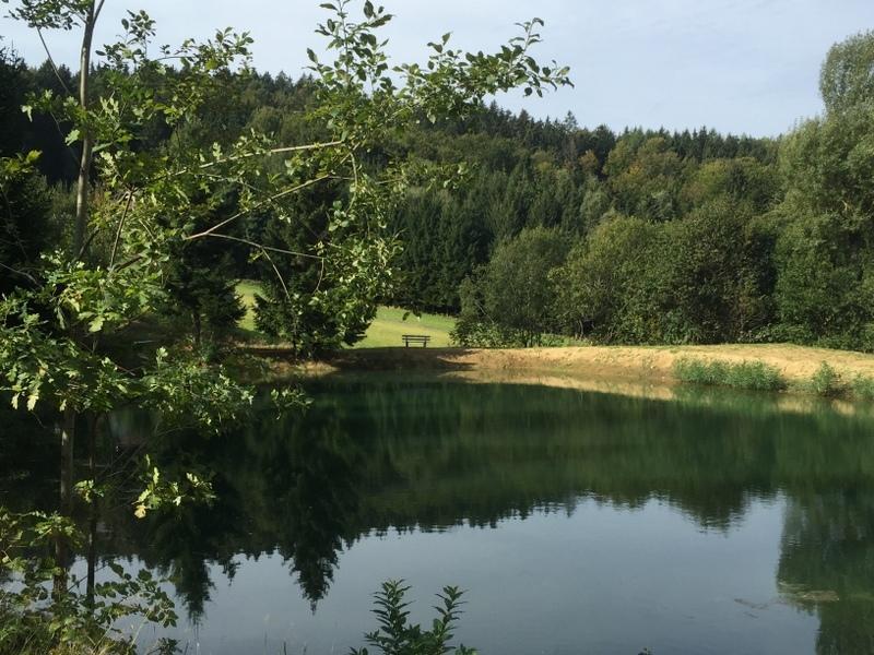 Ferienland Sonnenwald Fewo 46 Und Studio 50 In Schoefweg Bayerischer Wald 外观 照片