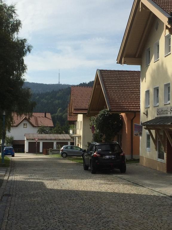 Ferienland Sonnenwald Fewo 46 Und Studio 50 In Schoefweg Bayerischer Wald 客房 照片