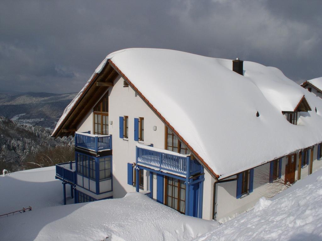 Ferienland Sonnenwald Fewo 46 Und Studio 50 In Schoefweg Bayerischer Wald 外观 照片